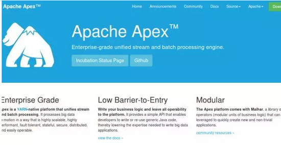 Apache Apex